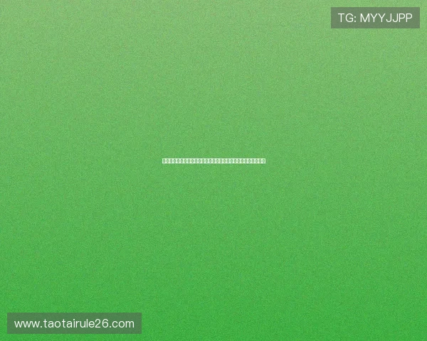 世界杯预选赛中国队最新消息全面解析中国队备战动态与赛程安排